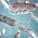 Legionella pneumophila bacterium, the causative agent of Legionnaire's disease, 3D illustration